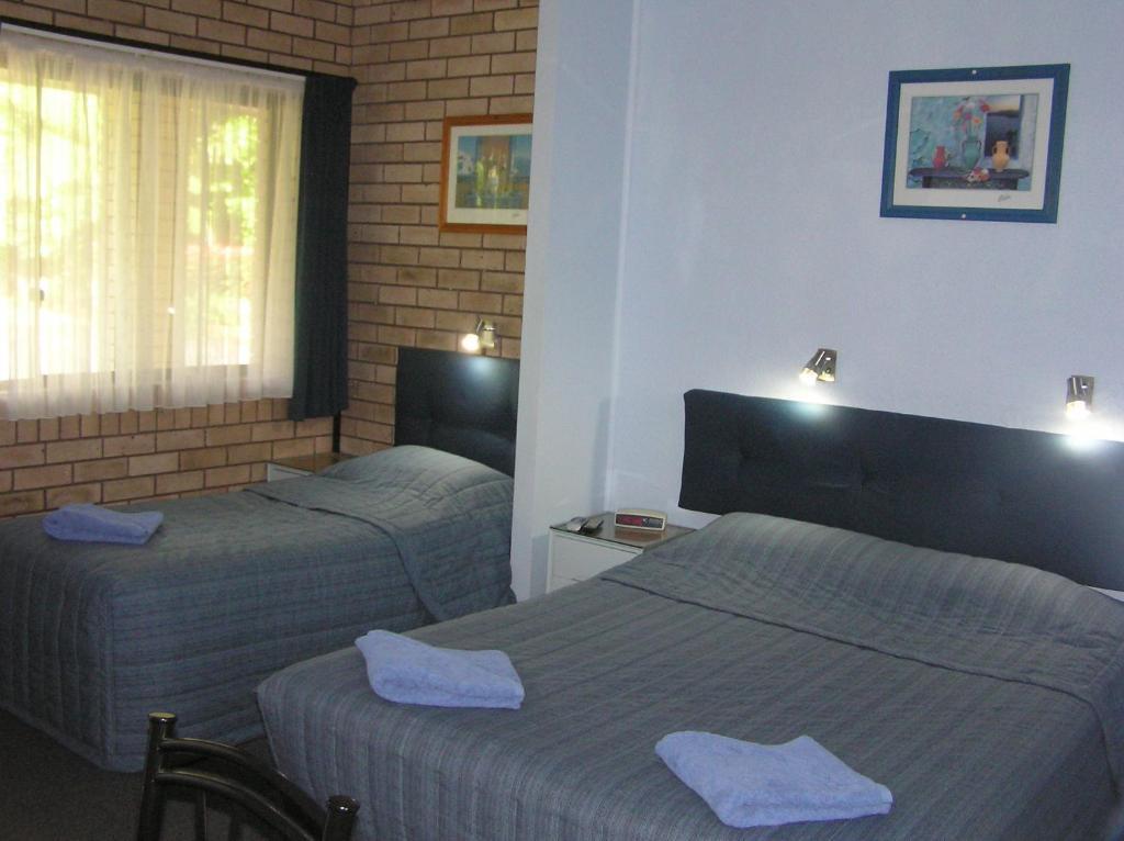 Sapphire Motel Korora Room photo